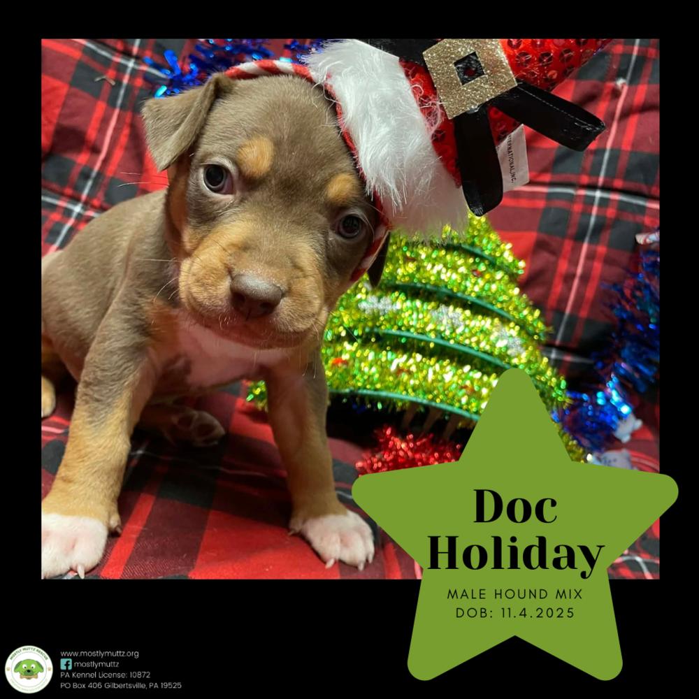 Doc Holiday thumbnail 4