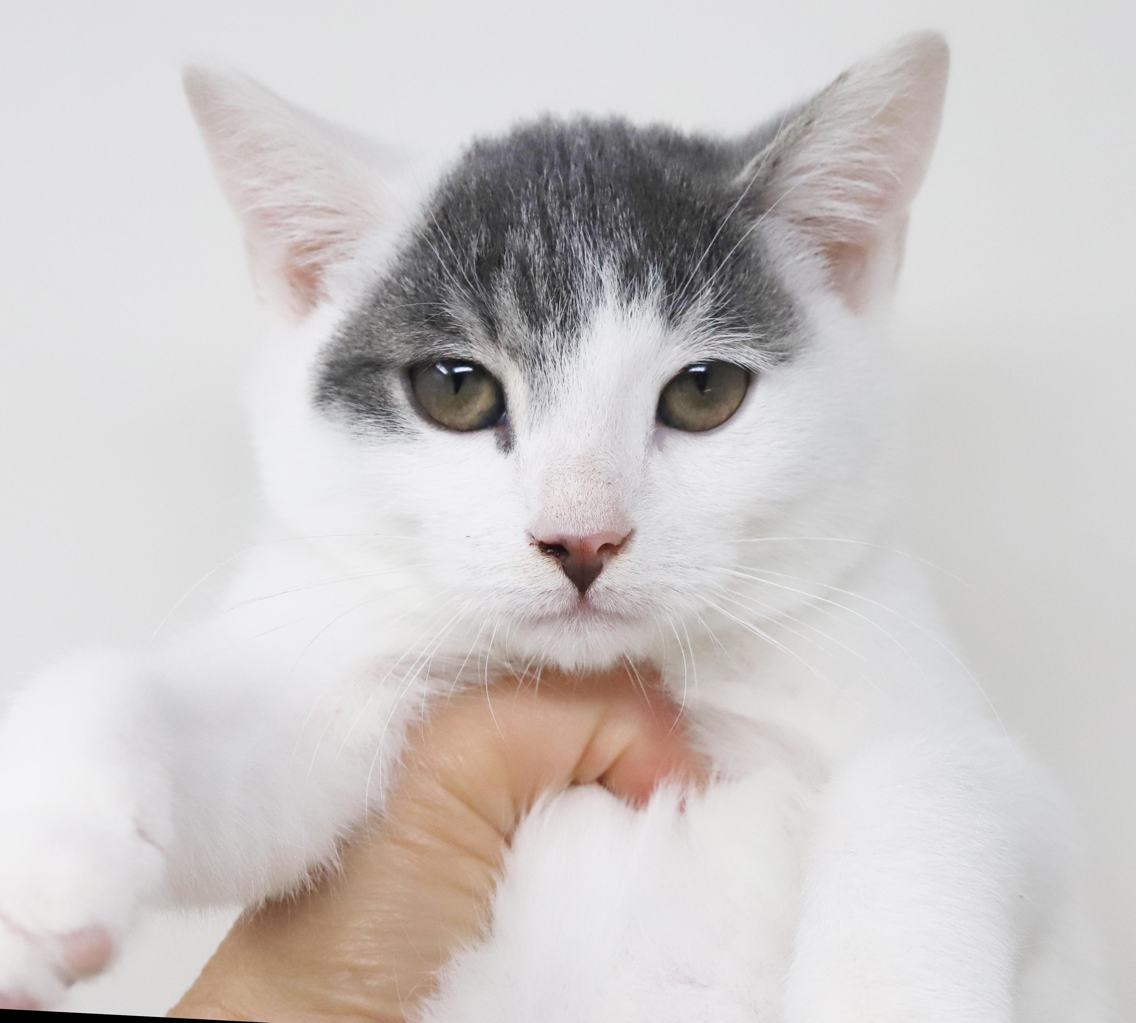 Hurley Is Moon Faced thumbnail 4