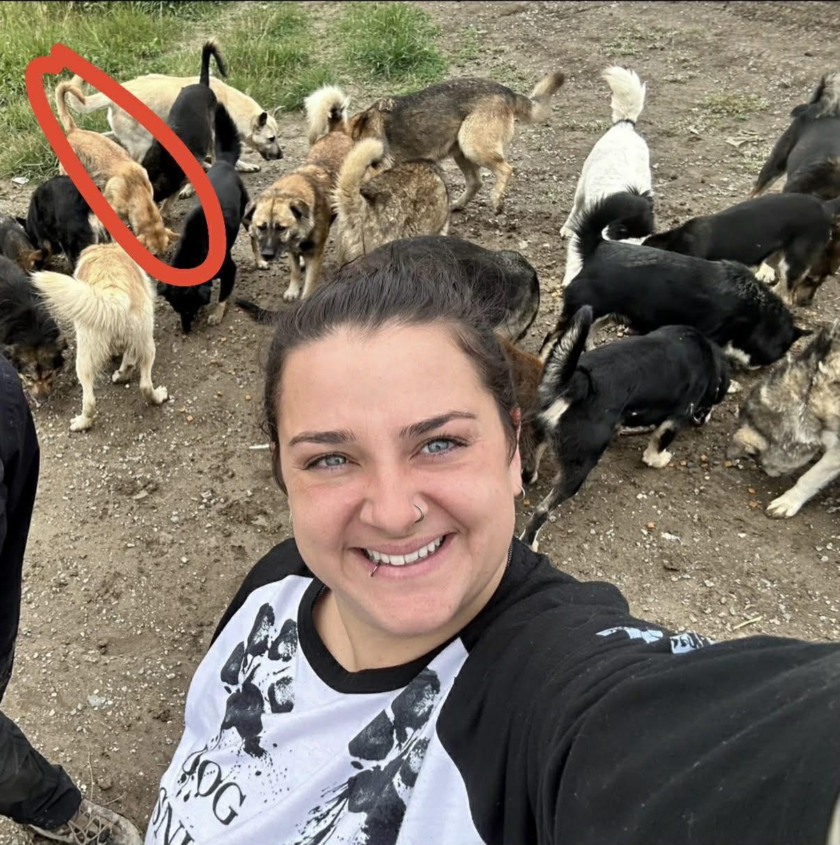 Enlarge Petra, a ADOPTABLE mixed breed in Dunnville, ON image 3/3