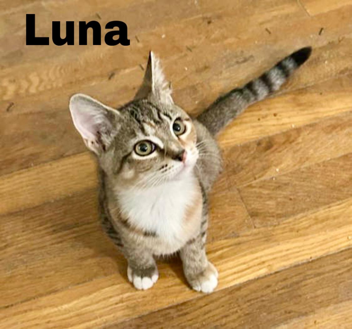 Luna