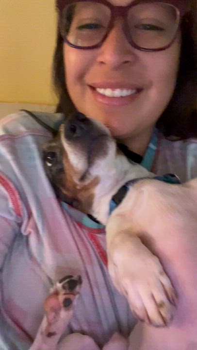 Enlarge Ripple, a Adoptable Dachshund in Bowdoin, ME video 4/6