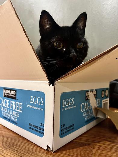 Lucy — thumbnail 2