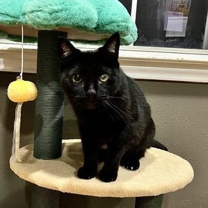 Lucy — thumbnail 6