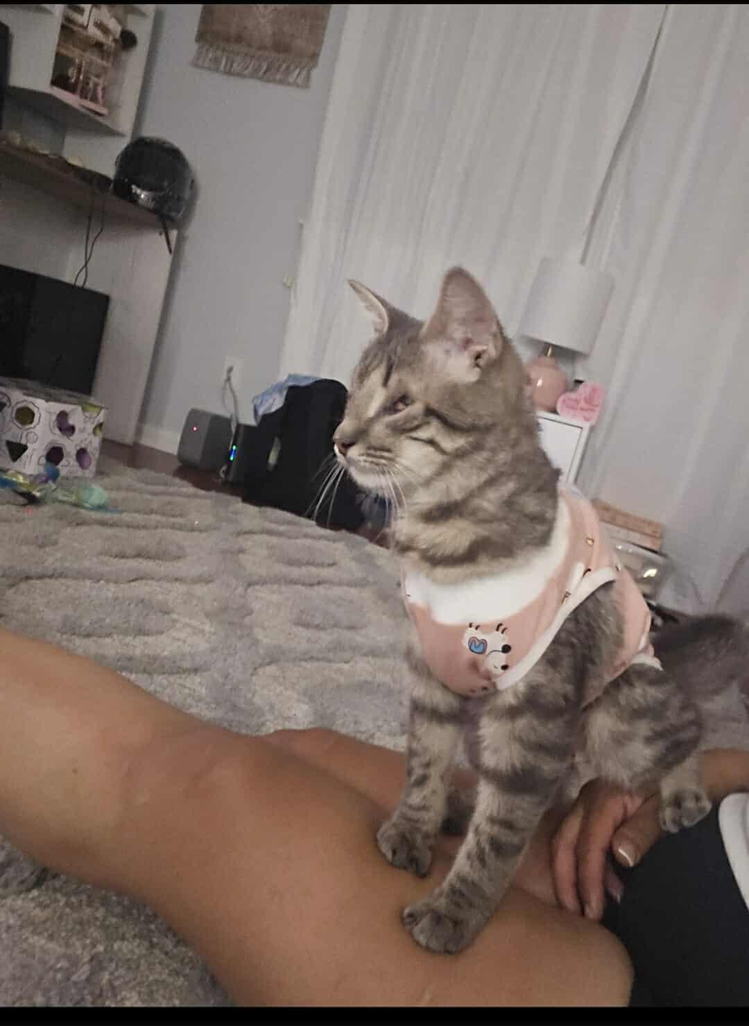 Nova: Blind Explorer, Big Talker, and Champion Cuddler!