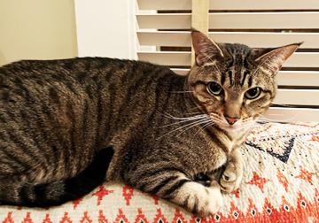 Seven--- URGENT: I want to live!!!!