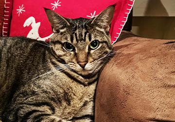 Seven--- URGENT: I want to live!!!!