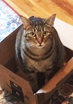 Seven--- URGENT: I want to live!!!!