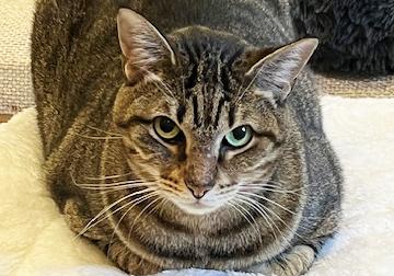 Seven--- URGENT: I want to live!!!!