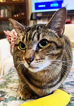 Seven--- URGENT: I want to live!!!!