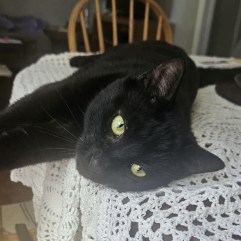 GREYSEN