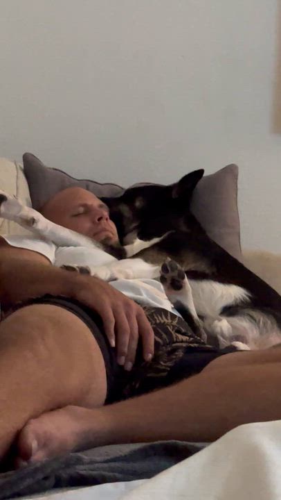 Enlarge Goose, a Adoptable mixed breed in Austin, TX video 6/6