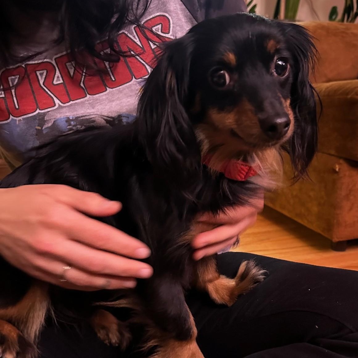 Libby — thumbnail 5