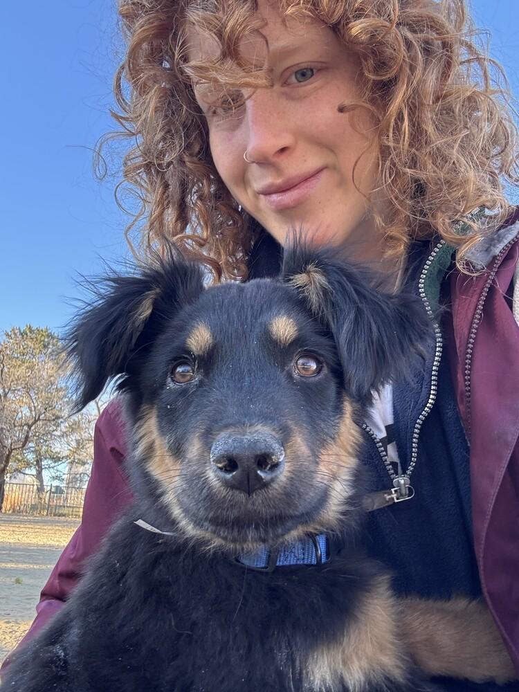Teefers, a Adoptable mixed breed in Denver, CO image 3/5