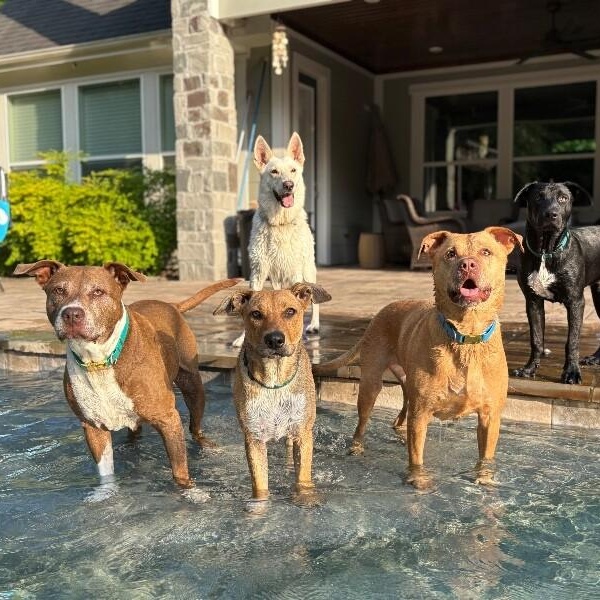 Ryder Your Adventure Buddy — thumbnail 3