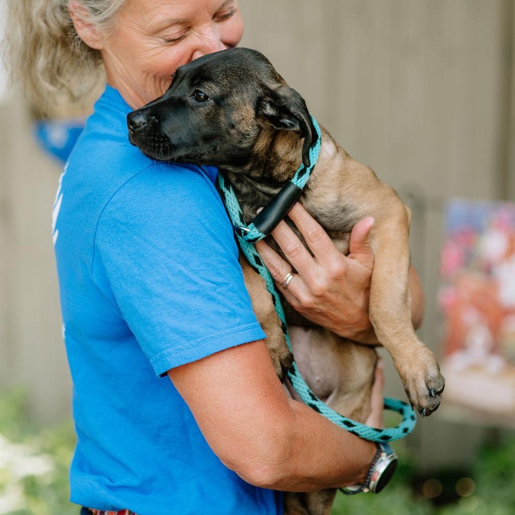 Enlarge Mula, an adopted mixed breed in Chester Springs, PA image 3/6
