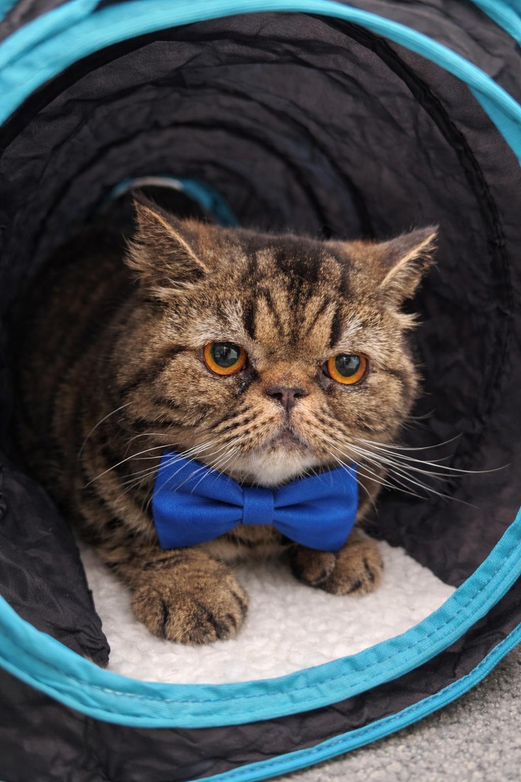 Steve — thumbnail 2