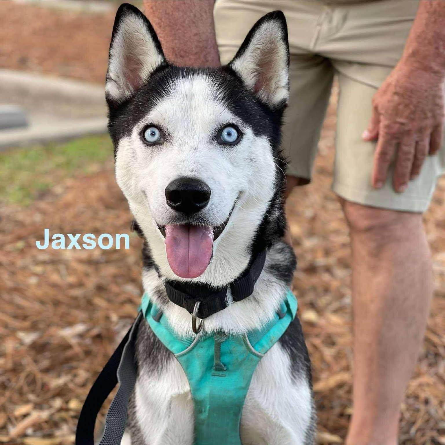 JAXSON