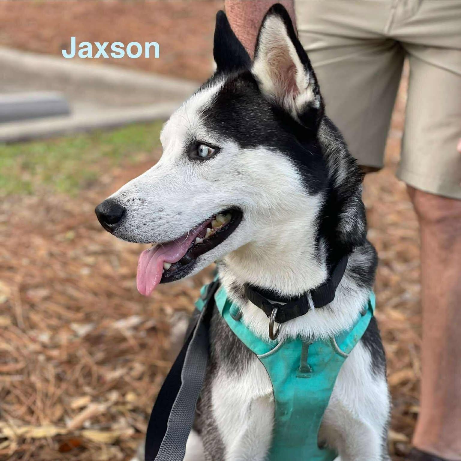 JAXSON