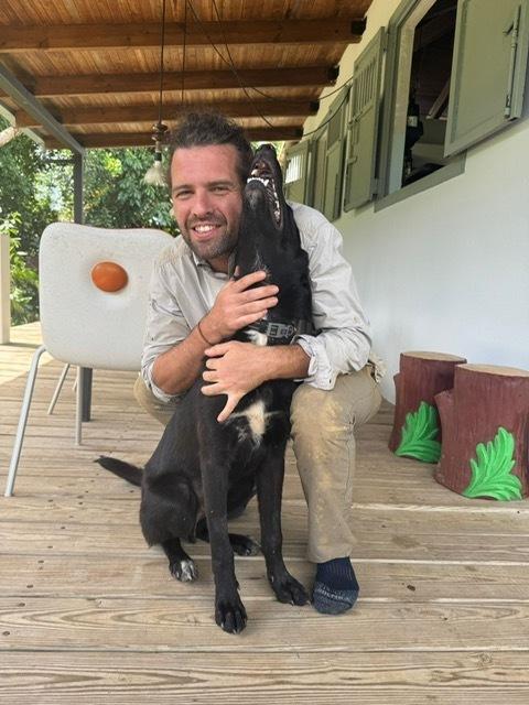 Graham, Adoptable, Adult Male Labrador Retriever.