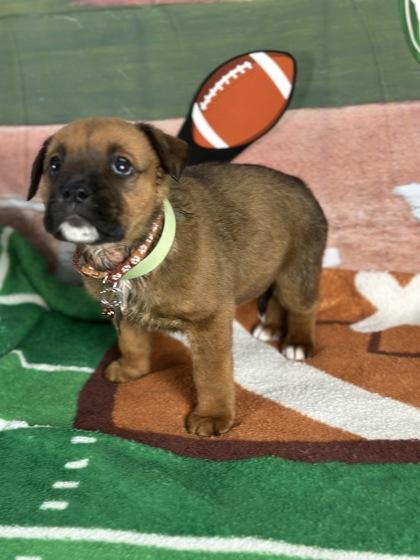 Receiver thumbnail 2