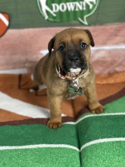 Receiver thumbnail 3