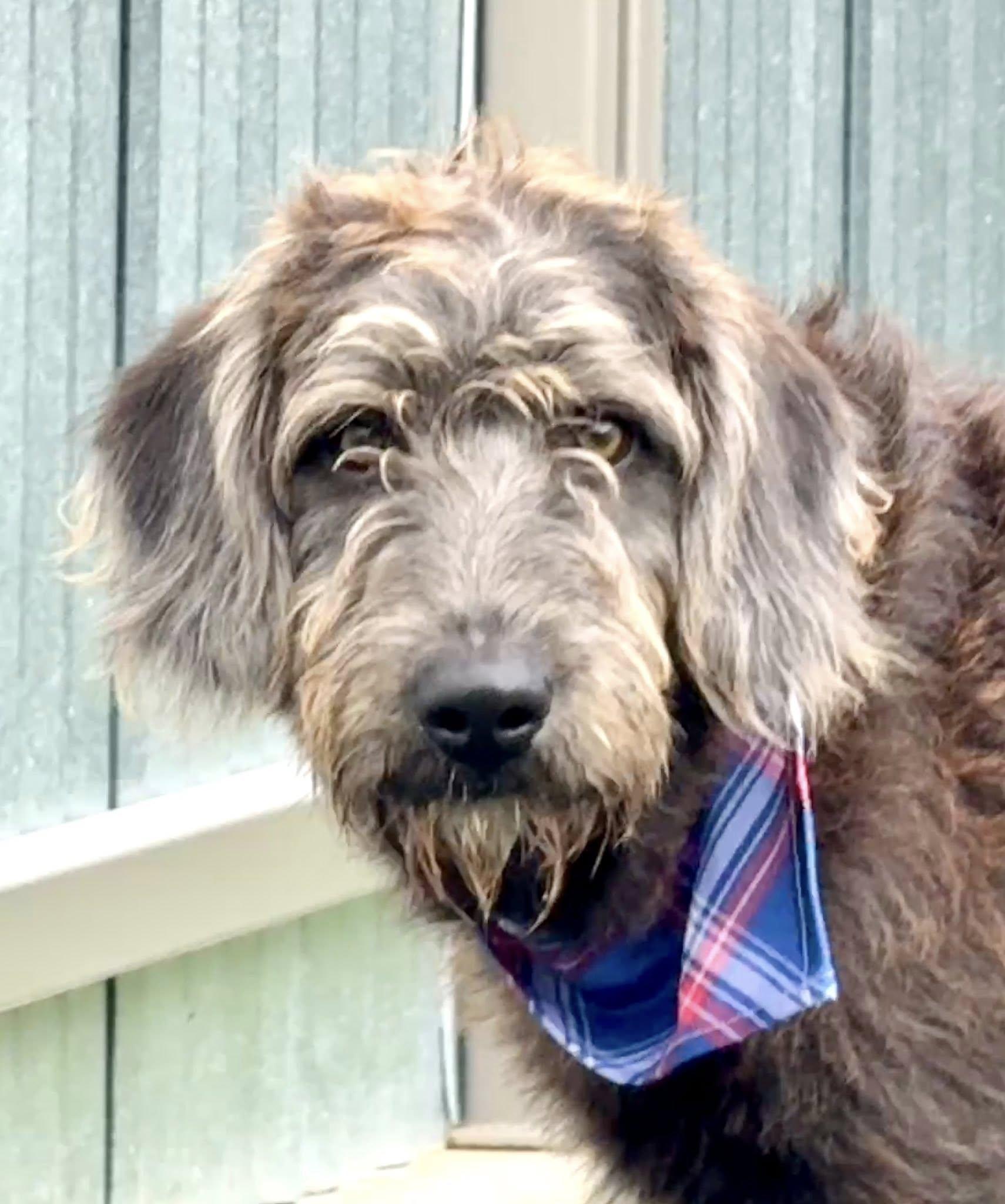 Finleya Big Mushy Love! thumbnail 3