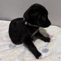 Sally — thumbnail 2