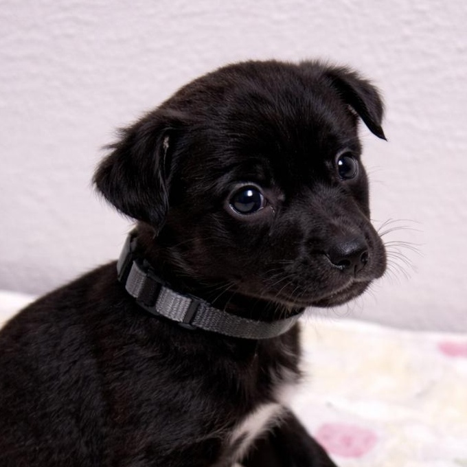 Sally — thumbnail 3