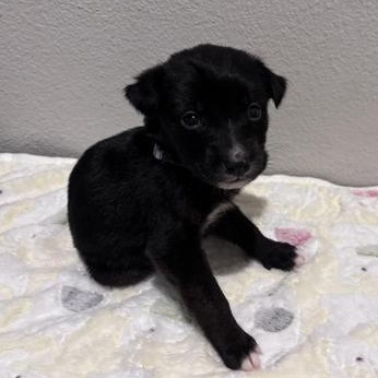 Sally — thumbnail 4