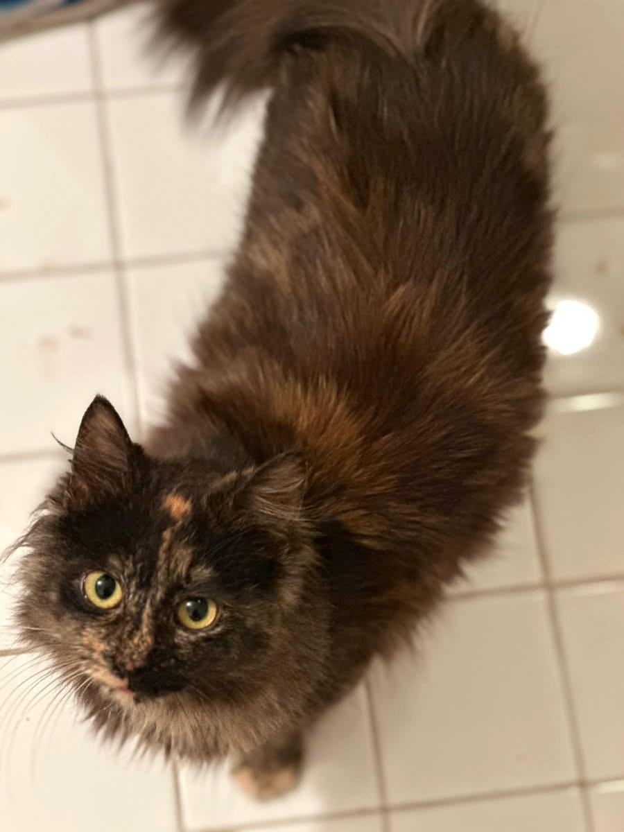 Molly