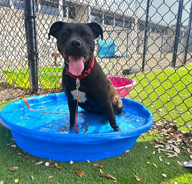 JENNY FROM THE BLOCK