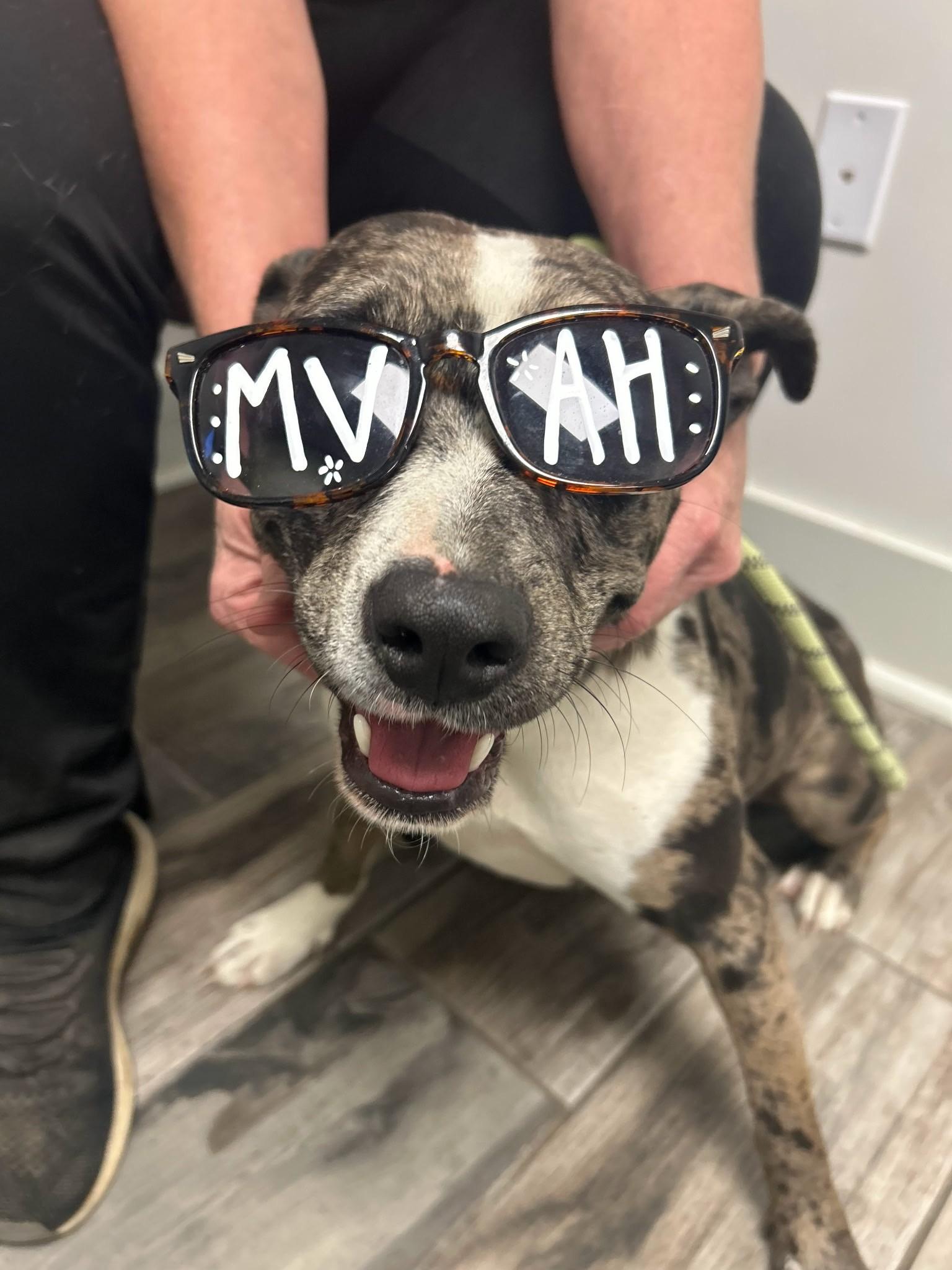 Lotto — thumbnail 3