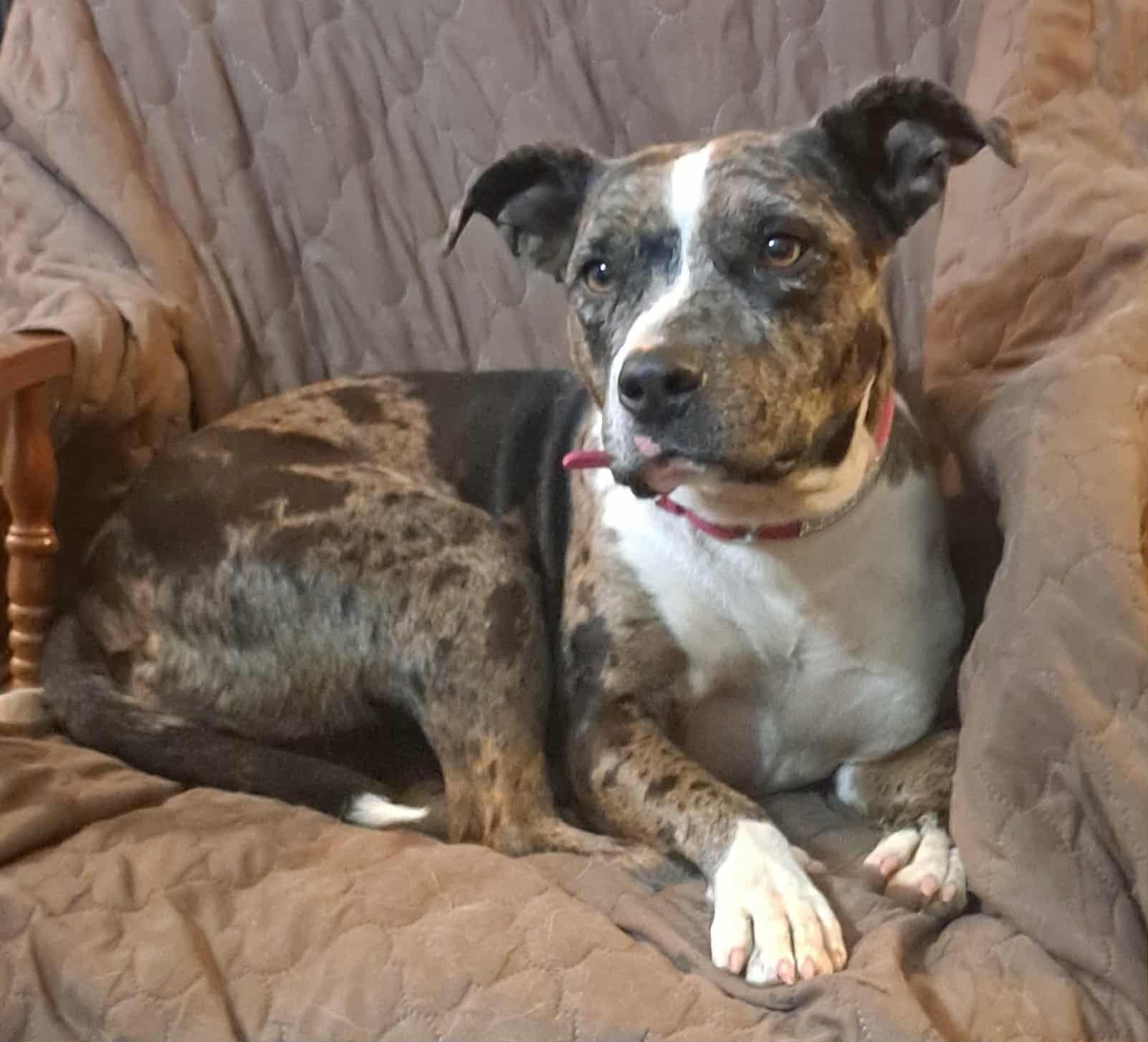 Lotto — thumbnail 4