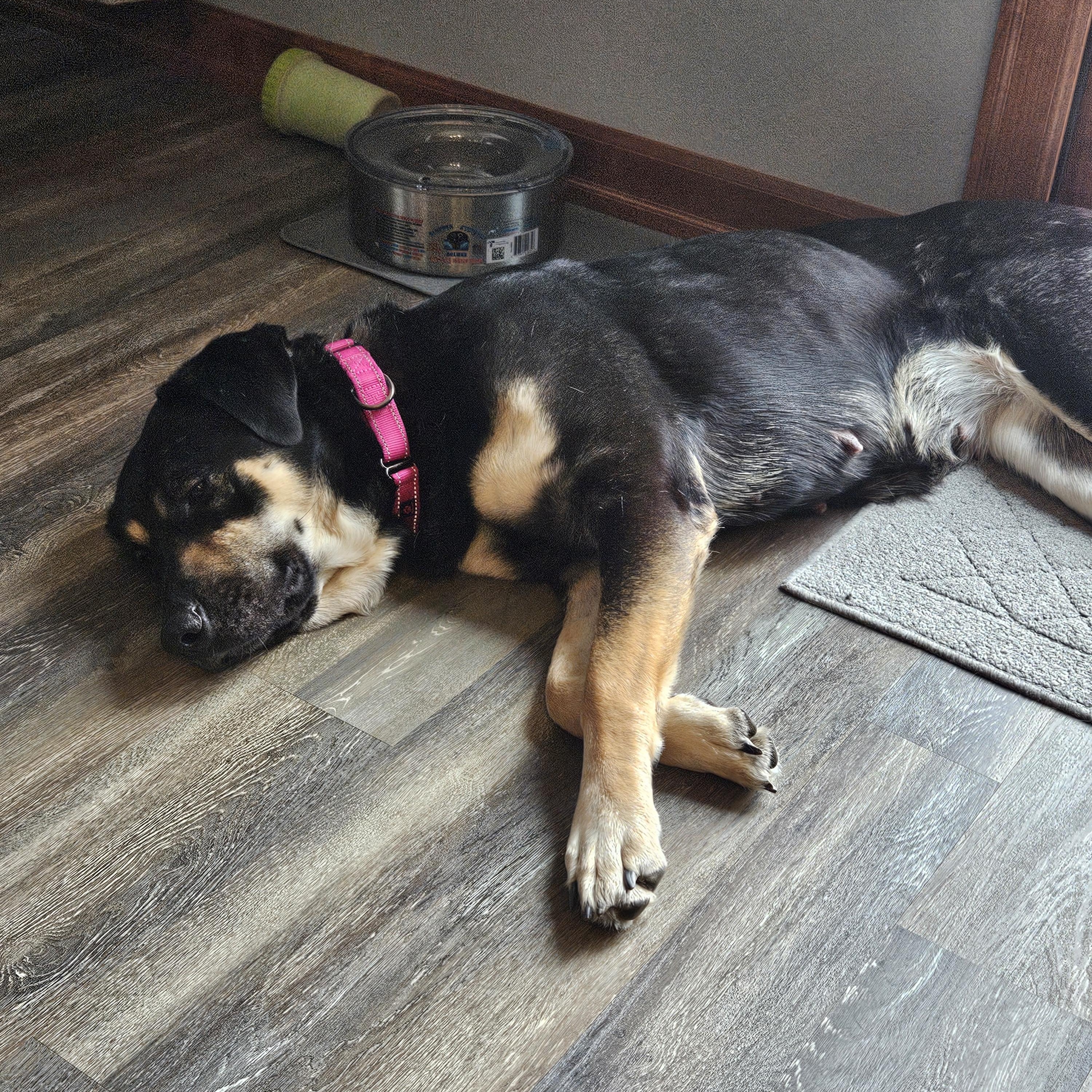 Margot photo 4