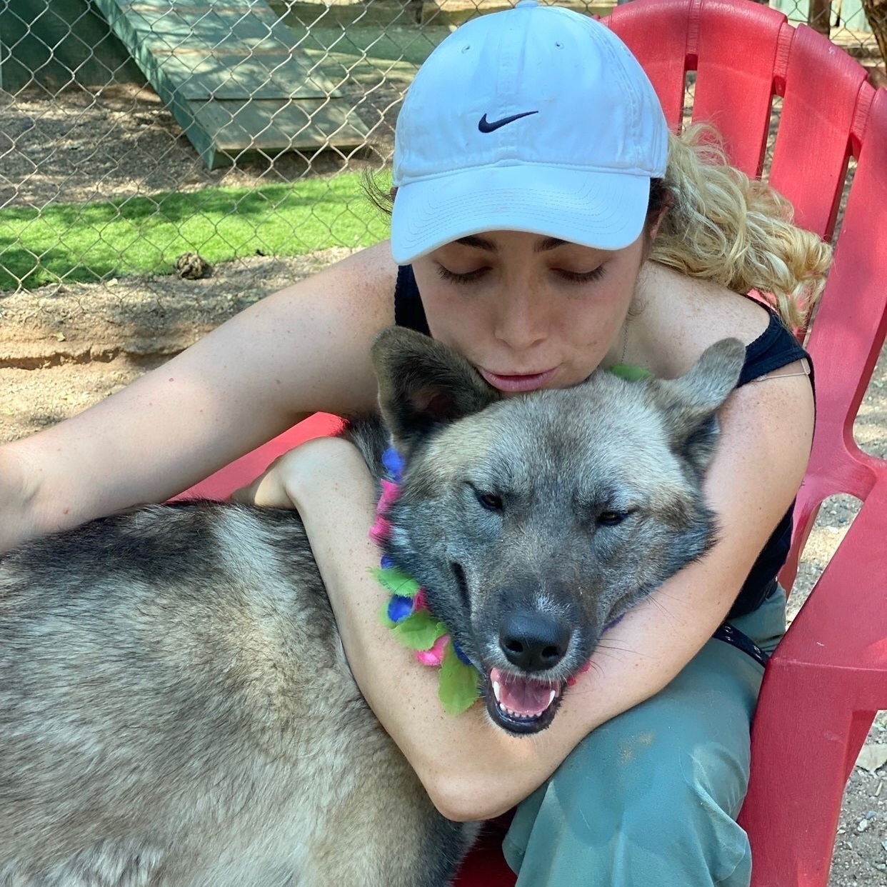 SAMANTHA BEE, a Adoptable mixed breed in Acton, CA image 5/10