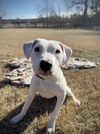 Kayson — thumbnail 2