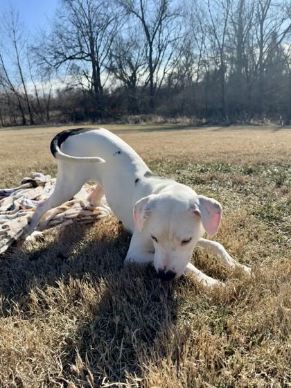 Kayson — thumbnail 3