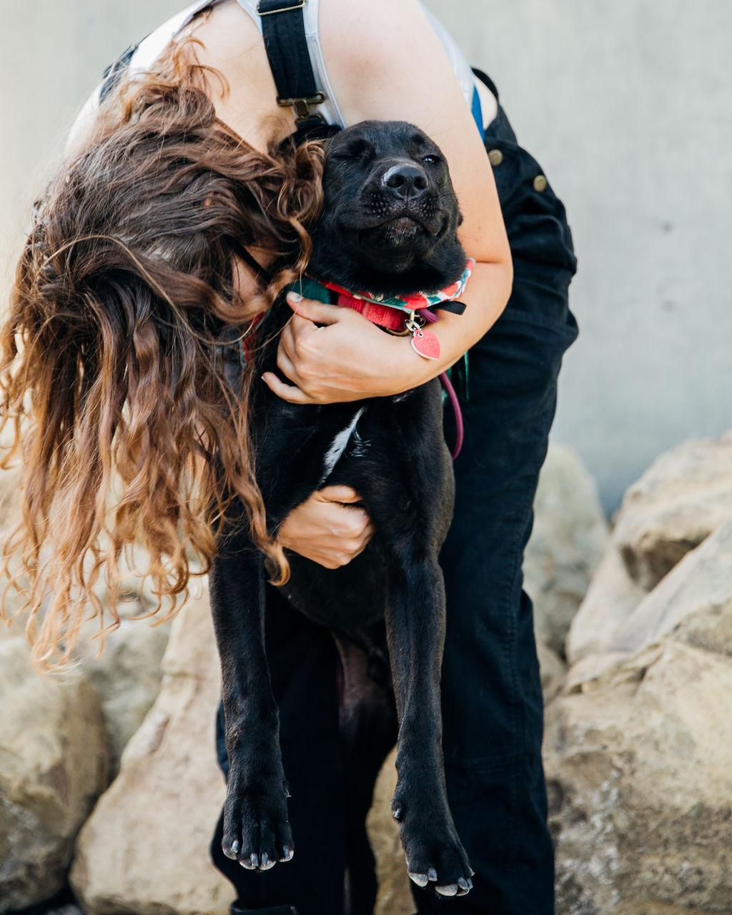 Enlarge Magwitch, a Adoptable mixed breed in Los Angeles, CA image 6/6