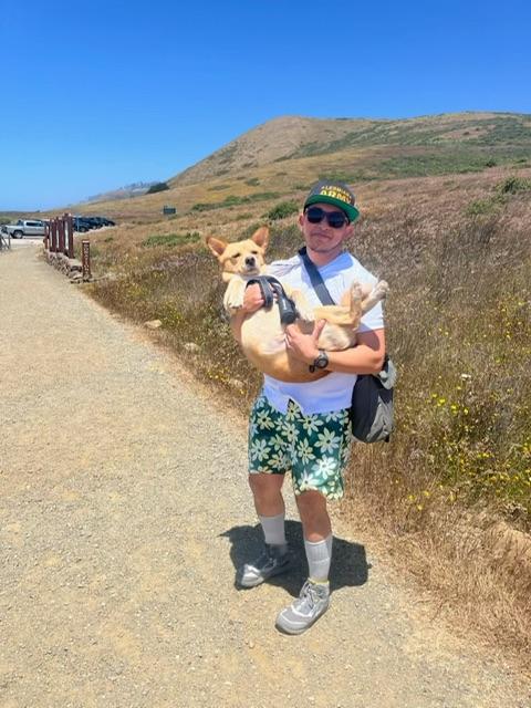 Foxy, a Adoptable mixed breed in Bay Point, CA image 5/5