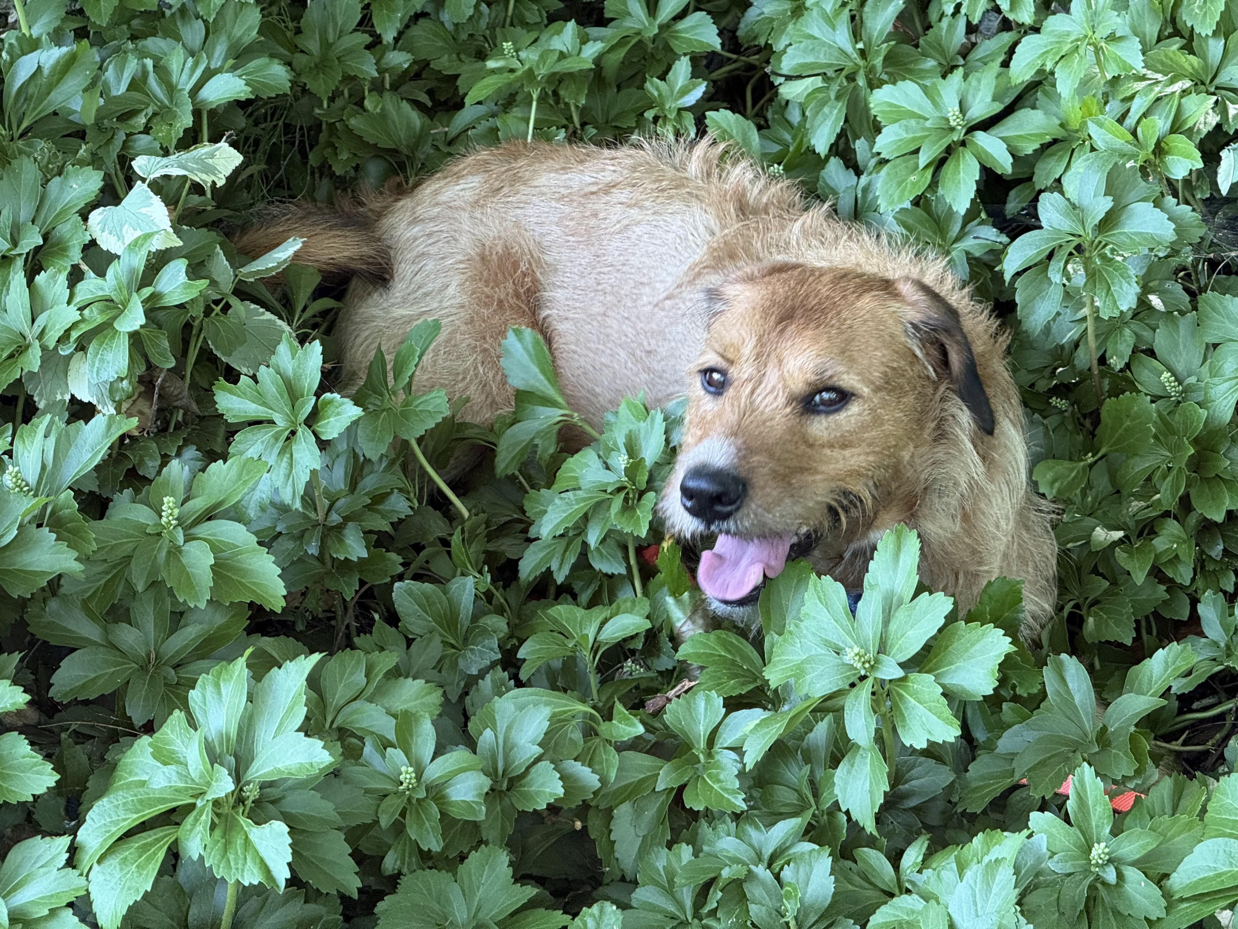 Duncan is in Maine