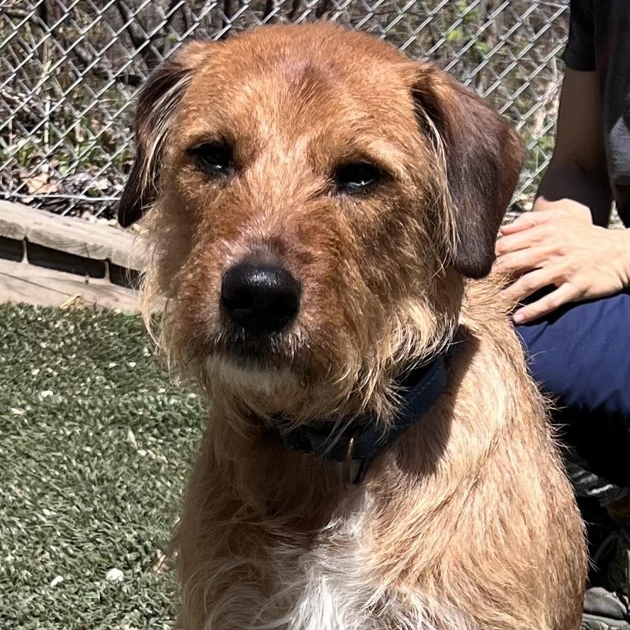 Duncan is in Maine, Adult Male unknown