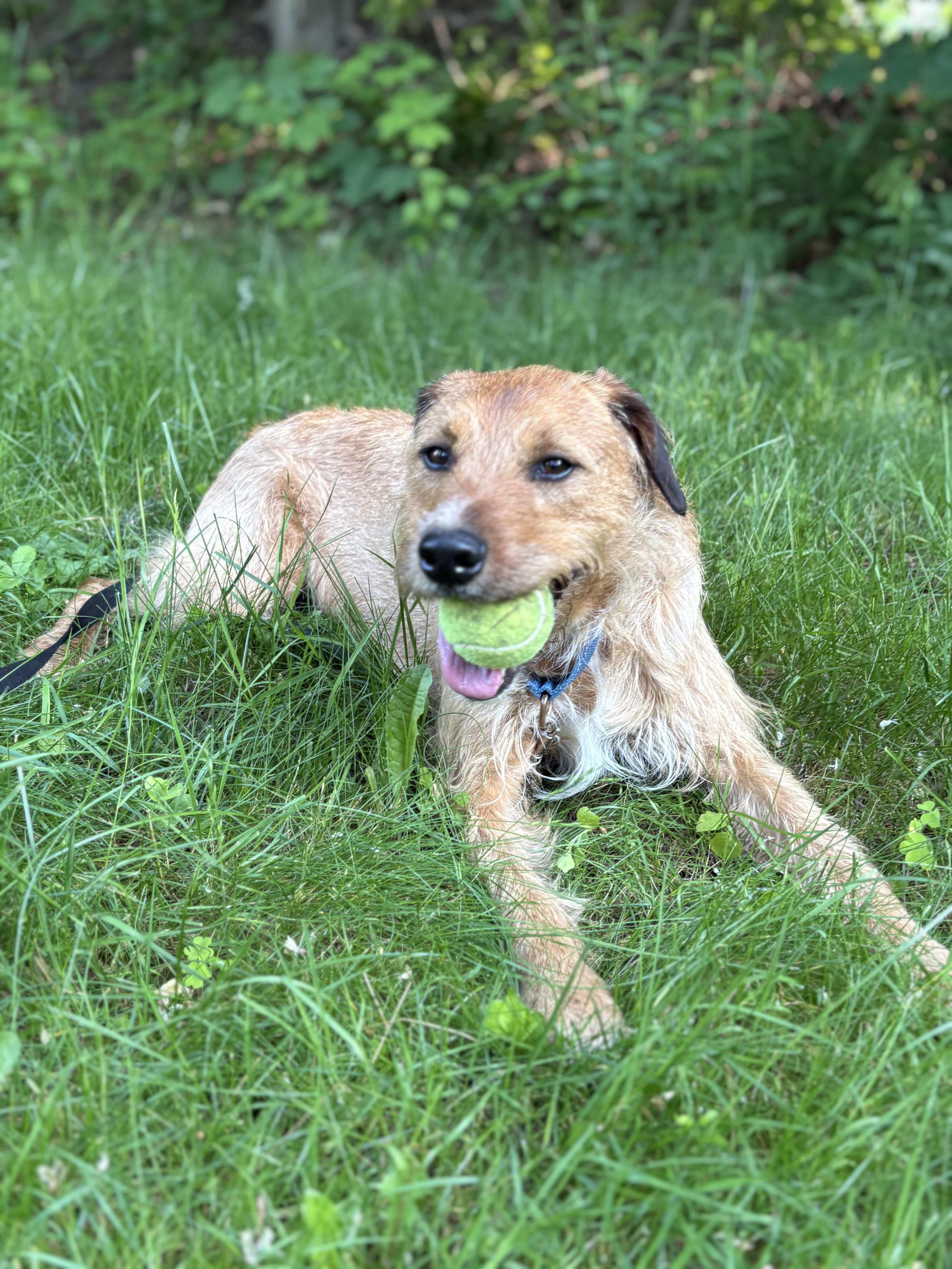 -Duncan is in Maine photo 7