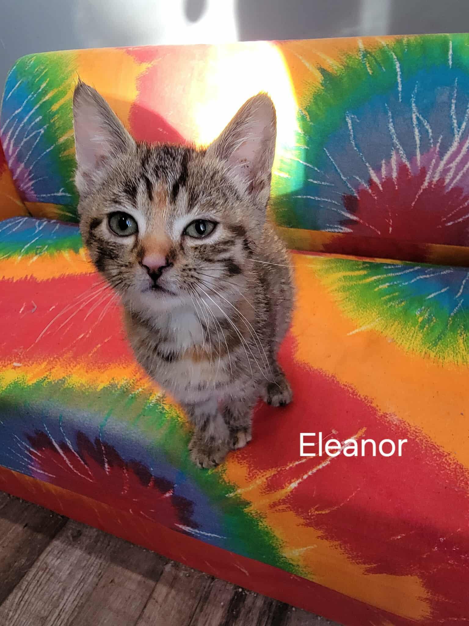 Eleanor
