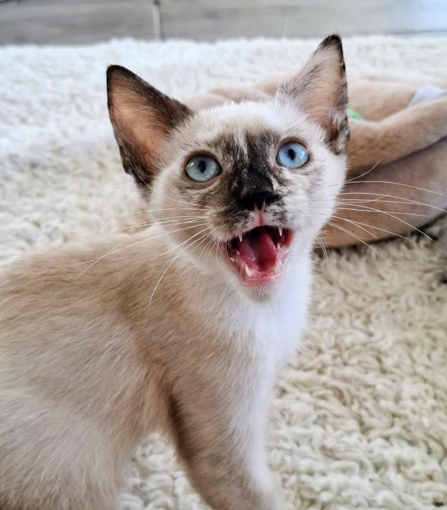 Nina — thumbnail 2