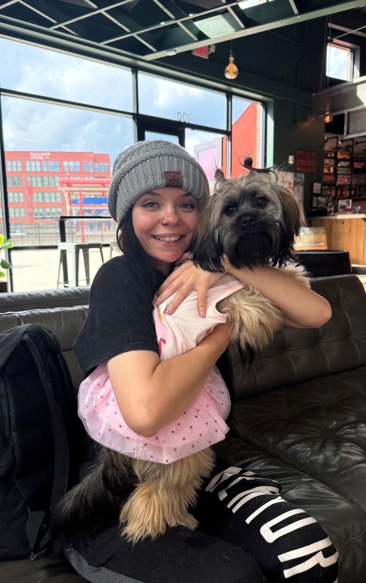 Enlarge Edna Jean, a Adoptable Shih Tzu in Arlington, VA image 3/3