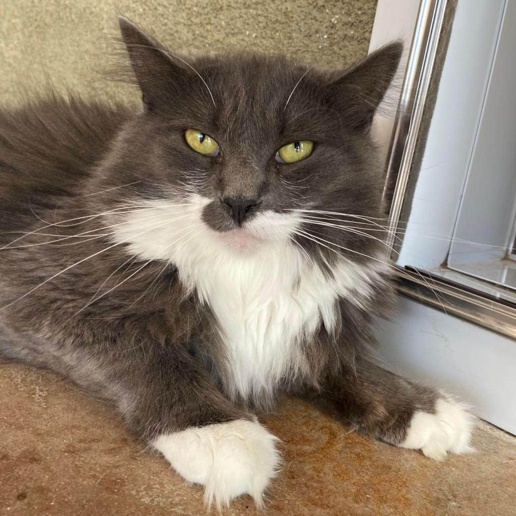 Everly — thumbnail 4