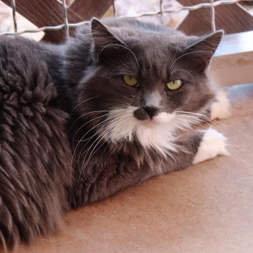 Everly — thumbnail 5