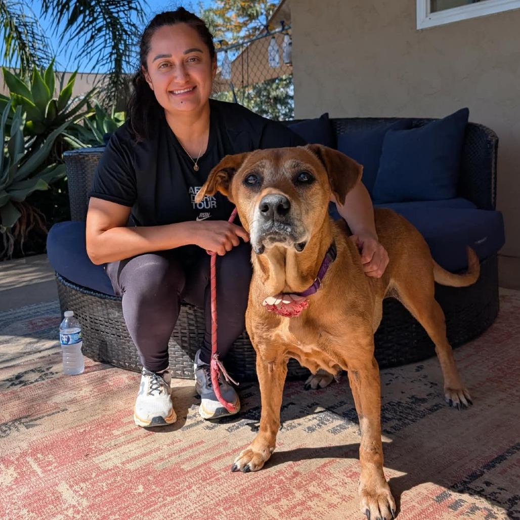 Camilla — thumbnail 2