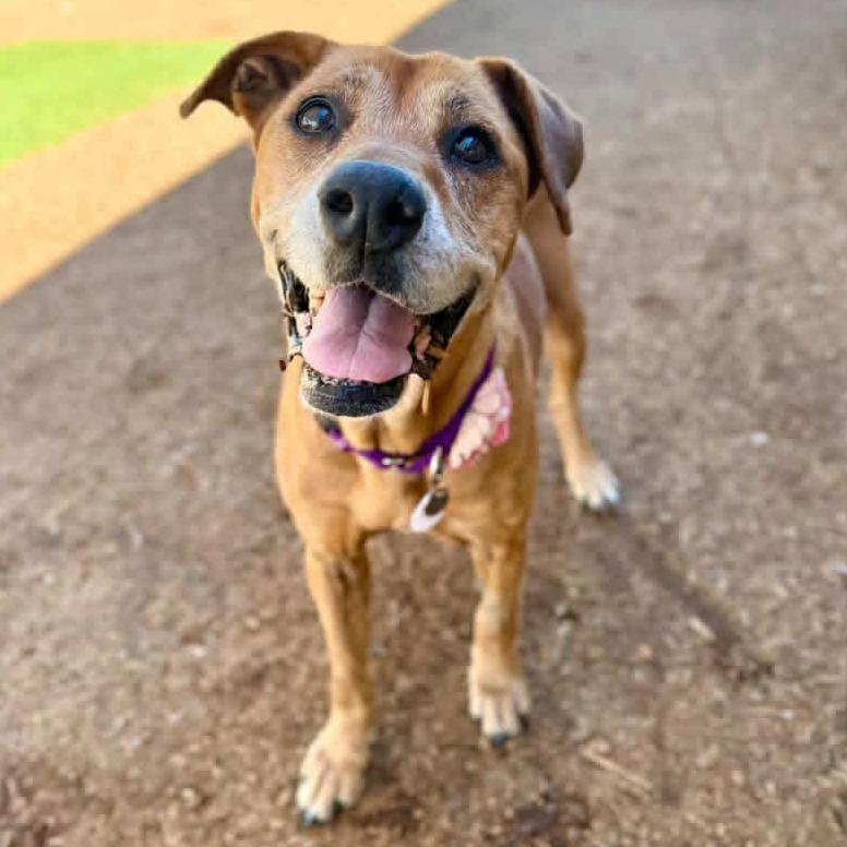 Camilla — thumbnail 3