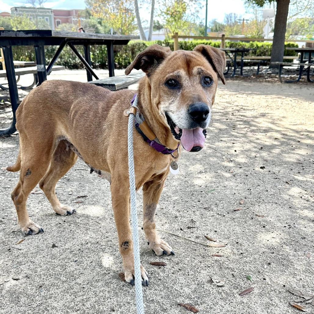 Camilla — thumbnail 4